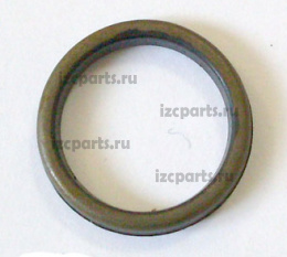 картинка Сальник 17x21x2,4  пальца серьги от магазина IZC