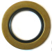 картинка Сальник 70x110x13 от магазина IZC
